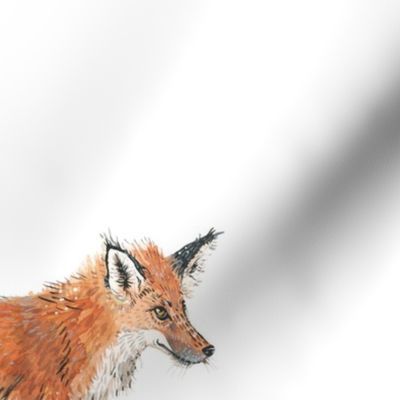Fox Forest - Large Scattered Foxes on White
