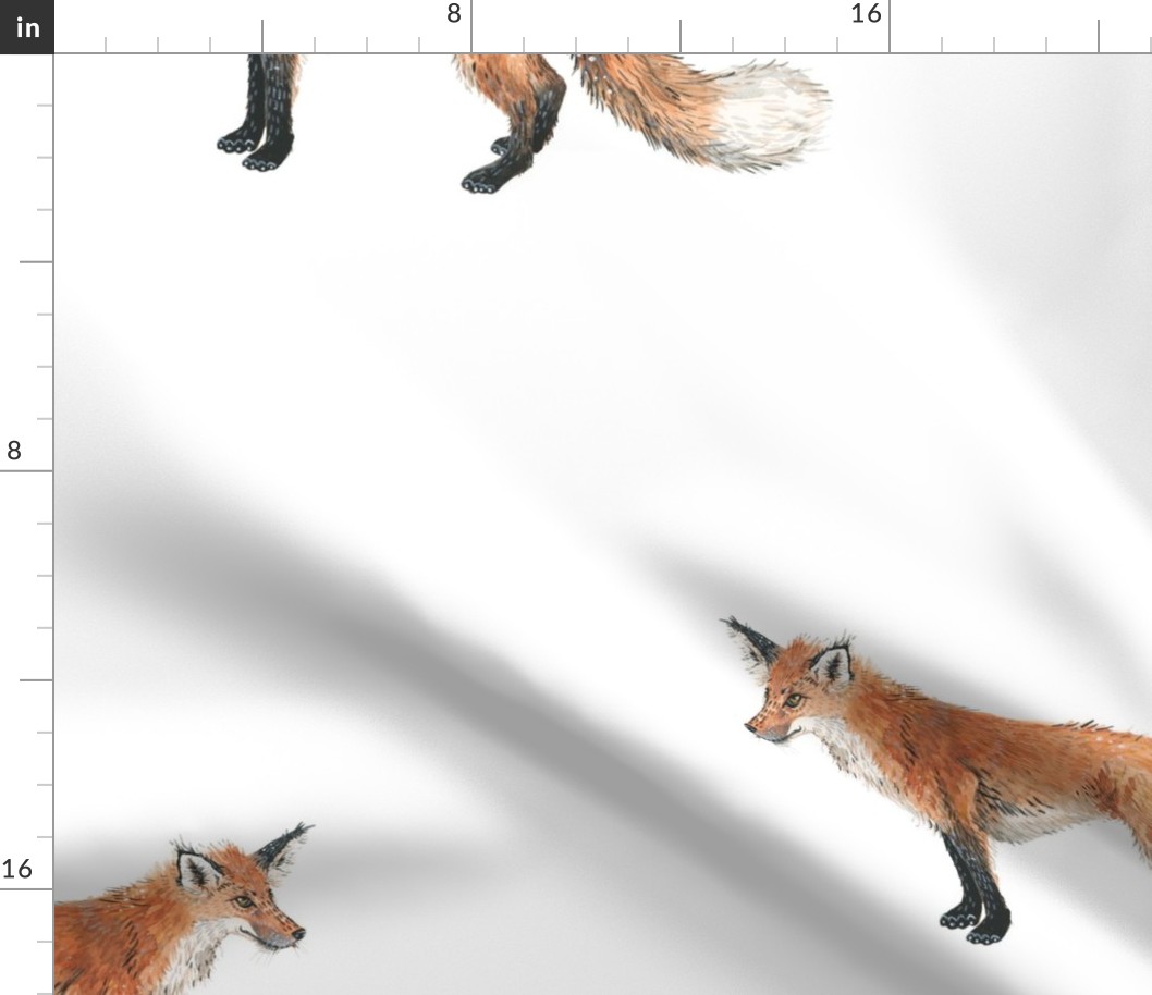 Fox Forest - Large Scattered Foxes on White