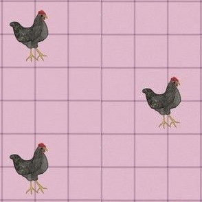 Chickens on Pink Squares