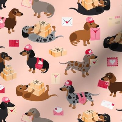 Special Delivery Dachshunds - Peach All Coats Small Scale