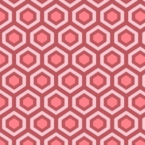 Overlook pink tones geometric surface Hexagons