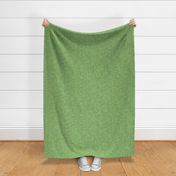 Snail Mail Plain Green Linen