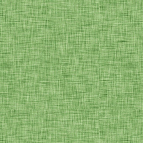 Snail Mail Plain Green Linen