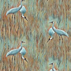 stork-cranes