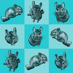 CHINCHILLAS ON TEAL FOR PRINT - 6 SQUARE