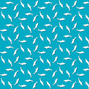 Dolphin-Hexogonal V1