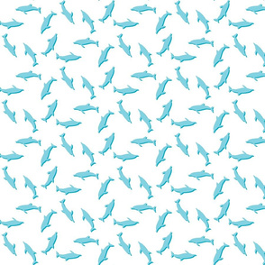 Dolphins-Hexogonal V2