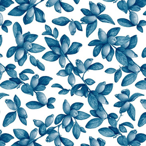 Cotoneaster_blue L