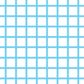 Narrow retro check - turquoise on white