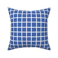 Blue with narrow retro white check