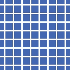 Blue with narrow retro white check