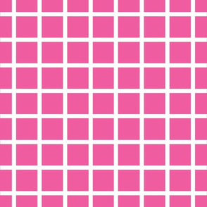 Deep pink with narrow retro white check