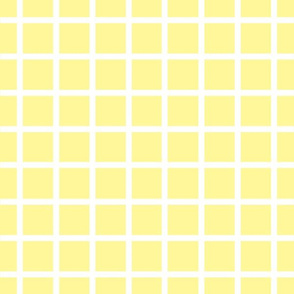 Yellow with narrow white check