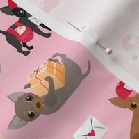 Special Delivery Chihuahuas - Pink Small Scale