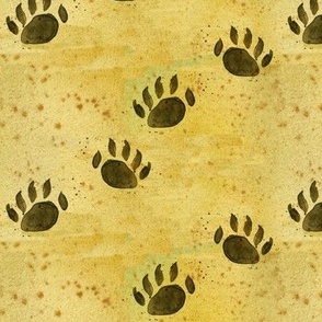 Bear Paw Prints