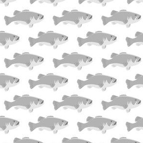 fish - bass fish - grey on white - LAD20BS