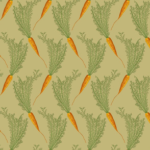 Carrots - mustard - medium