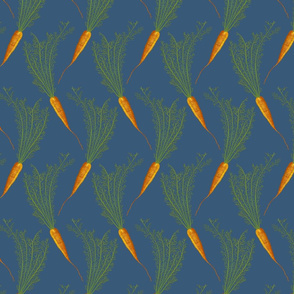 Carrots - dark blue - medium