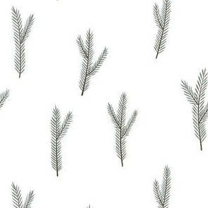 Pine Sprigs Minimal White Christmas