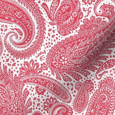 small Paisley Positivity - white and scarlet red