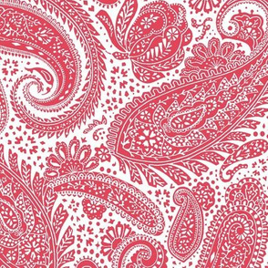 small Paisley Positivity - white and scarlet red