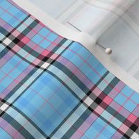 Baby Blue and Pink Plaid with White