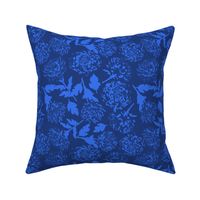 chrysanthemum - blue