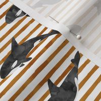 orca - killer whales - rust stripes - LAD20