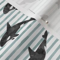 orca - killer whales - blue stripes - LAD20