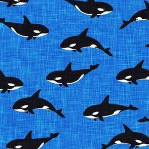 orca - killer whales - royal blue - LAD20