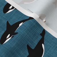 orca - killer whales - stone blue - LAD20