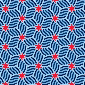 Starfish Geometric Studies Red White Blue