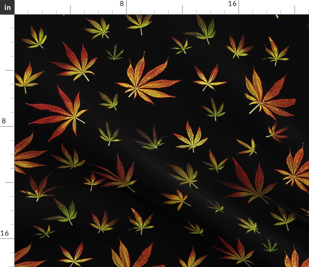 Marijuana leafs 