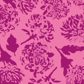 chrysanthemum - pink - large