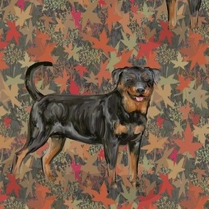 Rottweilers with Natural Tails on Autumn Leaves