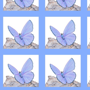 Butterfly Fabric panel