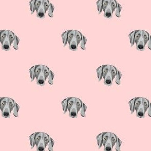 Weim Polka (pink)