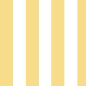 Large Mellow Yellow Awning Stripe Pattern with Light Vertical Stripes