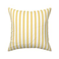 Mellow Yellow Awning Stripe Pattern with Light Vertical Stripes