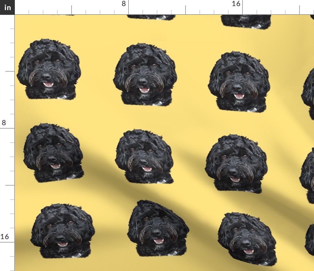 Black Cockapoo / Doodle Dog 