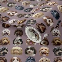 Cockapoo / Doodle Dogs