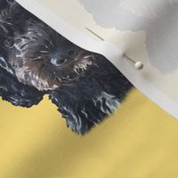 Black Cockapoo / Doodle Dog 