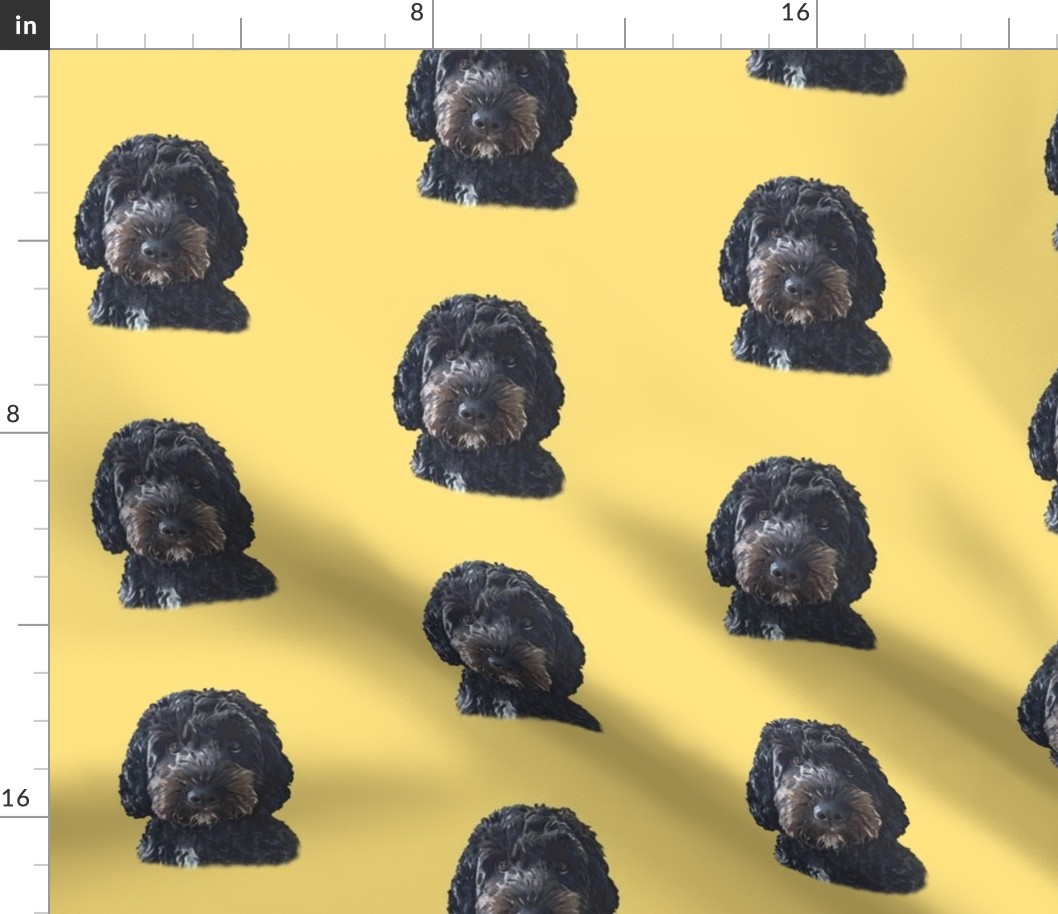 Black Cockapoo / Doodle Dog 