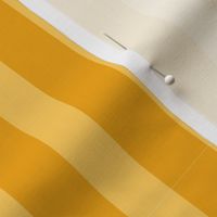 Stripes Dark Yellow / light yellow