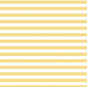 Mellow Yellow Bengal Stripe Pattern with Light Horizontal Stripes