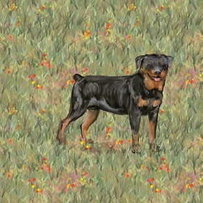 Rottweiler on Wildflower Field for Pillow