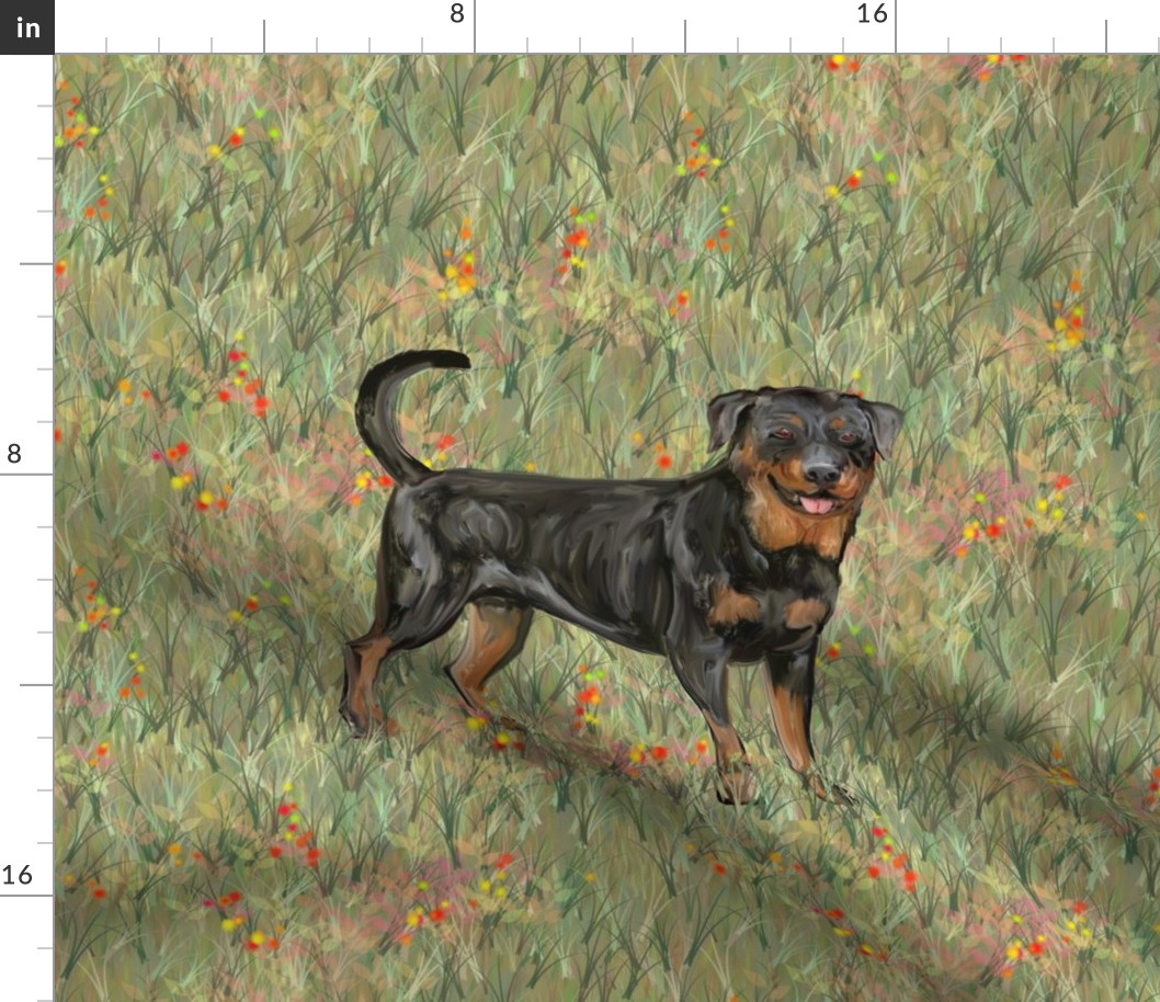 Rottweiler with Natural Tail on Wildflower Field for Pillow
