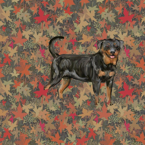 Rottweiler with Natural Tail on Autumn Leaves for Pillow
