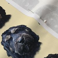 Black Cockapoo & Doodle Dogs 