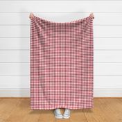 5/8" crayon gingham in  cranberry red